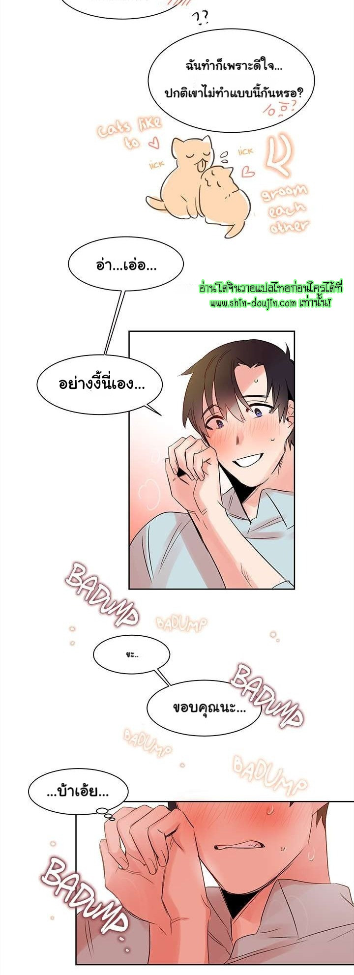 Cat in a Cardboard Box EP 5